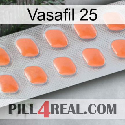 Vasafil 25 26